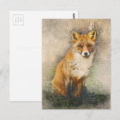 Carte Postale Renard rouge (Devant / Derrière)