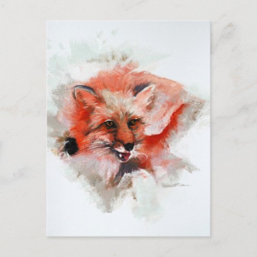 Carte Postale Renard rouge (Devant)