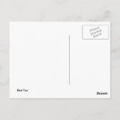 Carte Postale Renard rouge (Dos)