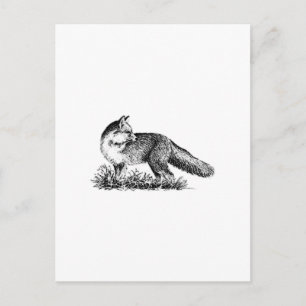 Carte Postale Renard rouge (art en ligne)