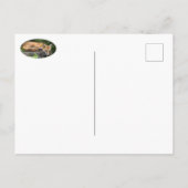 Carte Postale Renard rouge au repos (Dos)