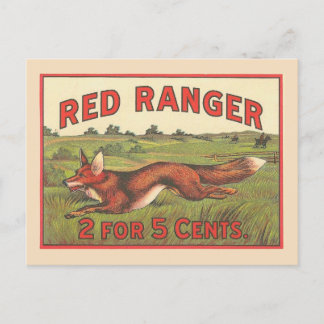 Carte Postale Renard rouge Vintage