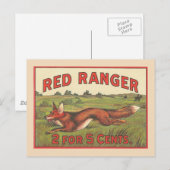 Carte Postale Renard rouge Vintage (Devant / Derrière)