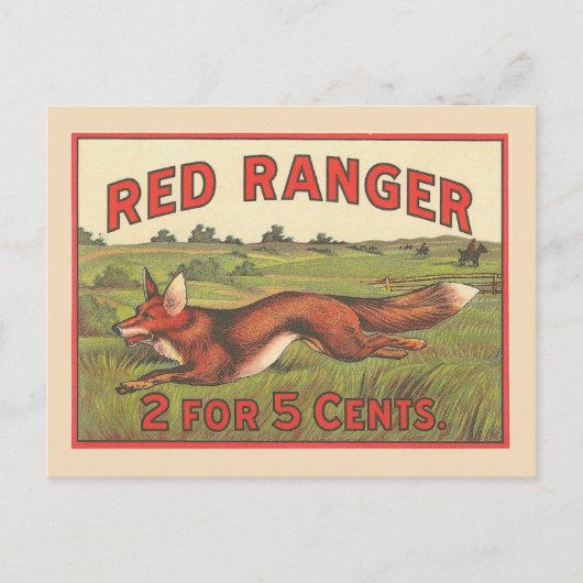Carte Postale Renard rouge Vintage (Devant)