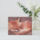 Carte postale Renard roux (Debout devant)