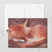 Carte postale Renard roux (Devant / Derrière)
