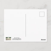 Carte postale Renard roux (Dos)