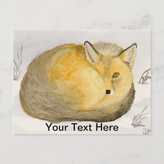 Carte Postale Renard roux (Devant)