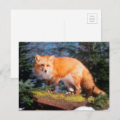 Carte Postale Renard roux sur une bûche (Devant / Derrière)