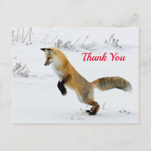 Carte Postale Renard sautant sur la neige Merci pour la photo