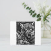 Carte Postale Renards / Loups / Coyotes ? (Debout devant)