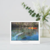 Carte Postale Rencontre avec Manatee (Debout devant)