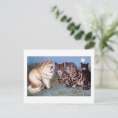 Carte Postale Rencontre de chatons au clair de lune, Louis Wain (Debout devant)