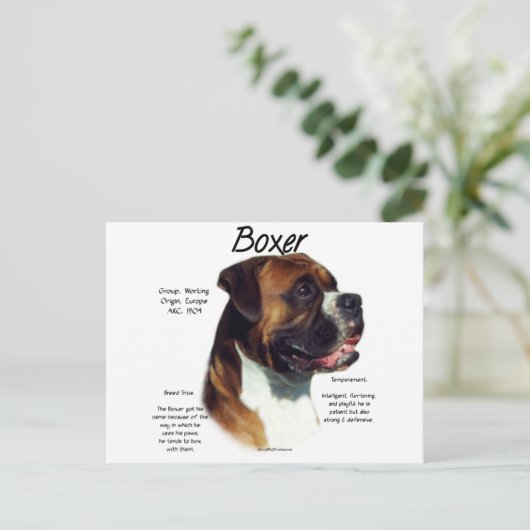 Carte Postale Rencontrez la race (Debout devant)