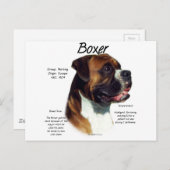 Carte Postale Rencontrez la race (Devant / Derrière)