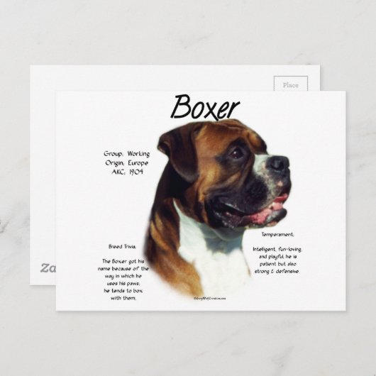 Carte Postale Rencontrez la race (Devant / Derrière)