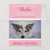 Carte Postale Rencontrez Le Nouveau Membre "New Pet" Faire-part (Devant)