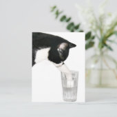 Carte Postale Rencontrez-moi pour prendre un verre (Debout devant)