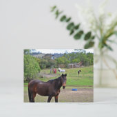 Carte Postale Rendez-vous de campagne 3 (Debout devant)