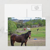 Carte Postale Rendez-vous de campagne 3 (Devant / Derrière)