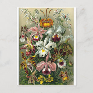 Carte Postale rendez-vous romantique fleurs rsvp chic coloré