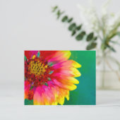 Carte Postale Rendu artistique de la fleur de couverture indienn (Debout devant)