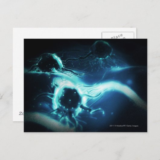 Carte Postale Rendu artistique des cellules cancéreuses (Devant / Derrière)