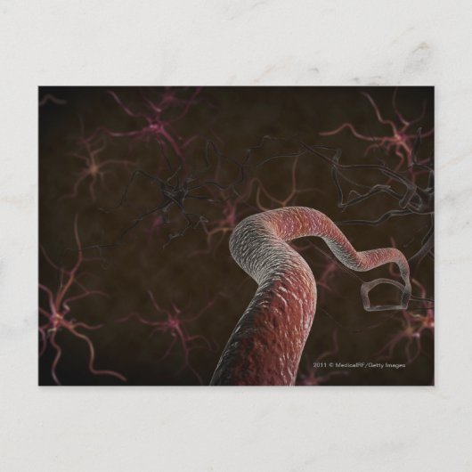 Carte Postale Rendu numérique des neurones (Devant)