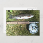 Carte Postale renfly fishing reel (Devant / Derrière)