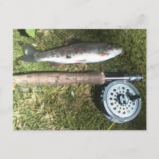 Carte Postale renfly fishing reel (Devant)