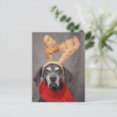 Carte Postale renne germanique (Debout devant)