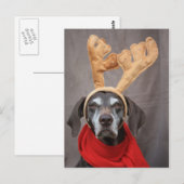 Carte Postale renne germanique (Devant / Derrière)