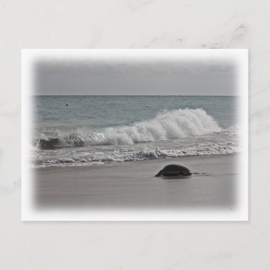 Carte Postale Rentrer à la maison (Devant)