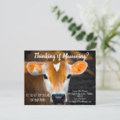 Carte Postale renvoi de la vache agricole vente vente vente post (Debout devant)