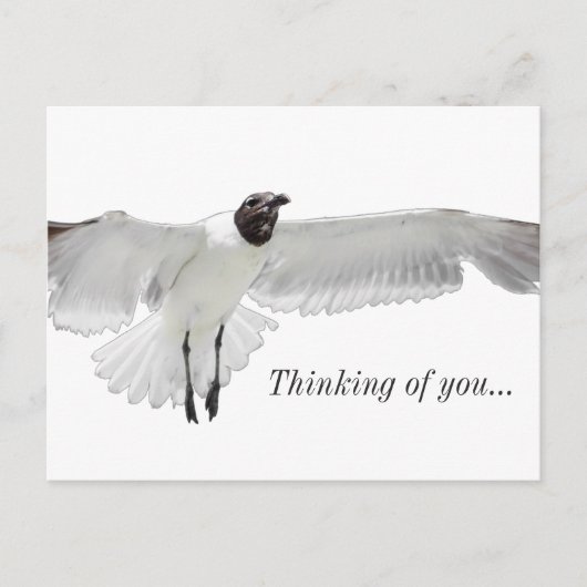 Carte Postale Répandre Ces Ailes PNG Penser À Vous (Devant)