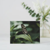 Carte postale Repas équilibré (Debout devant)