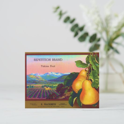 Carte Postale Répétition (Debout devant)