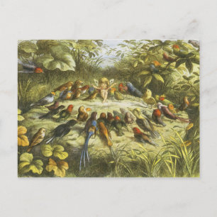 Carte Postale Répétition en Fairyland PostCard par Richard Doyle