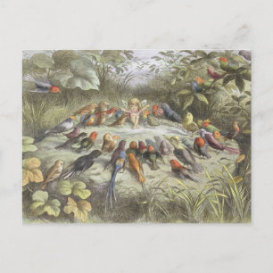 Carte Postale Répétition vintage à Fairyland