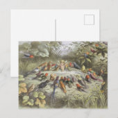 Carte Postale Répétition vintage au pays des fées (Devant / Derrière)