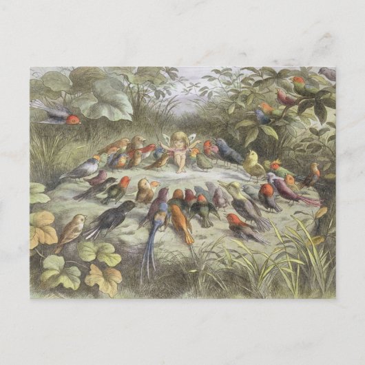 Carte Postale Répétition vintage au pays des fées (Devant)