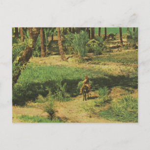 Carte Postale Réplique Egypte Vintage, delta du Nil agriculture