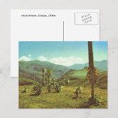 Carte Postale Réplique Haute Semien Vintage, Éthiopie, 3750m (Devant / Derrière)