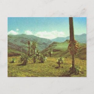 Carte Postale Réplique Haute Semien Vintage, Éthiopie, 3750m