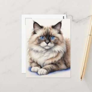 Carte Postale Repos Ragdoll Chat Illustration Cosy Animaux