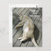 Carte Postale Repos Sentez-vous mieux mignon Chat Obtenez bien P (Devant / Derrière)