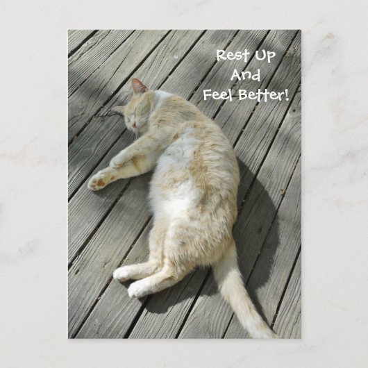 Carte Postale Repos Sentez-vous mieux mignon Chat Obtenez bien P (Devant)