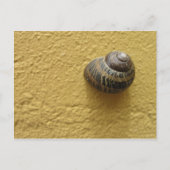 Carte Postale Repose (Devant)