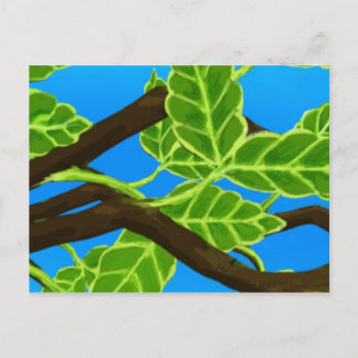 Carte Postale Repose