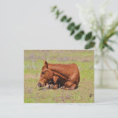 Carte Postale Repose dans le soleil (Debout devant)